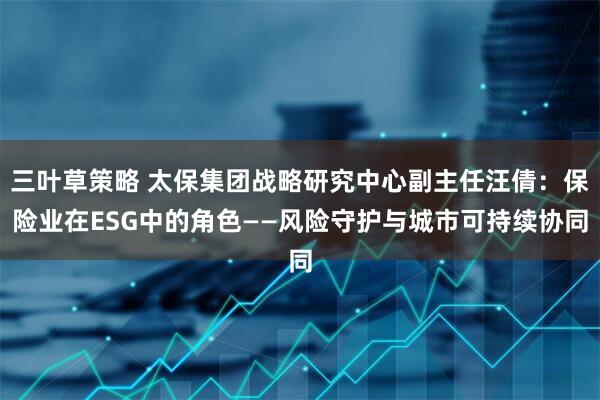 三叶草策略 太保集团战略研究中心副主任汪倩：保险业在ESG中的角色——风险守护与城市可持续协同