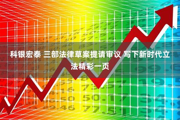 科银宏泰 三部法律草案提请审议 写下新时代立法精彩一页