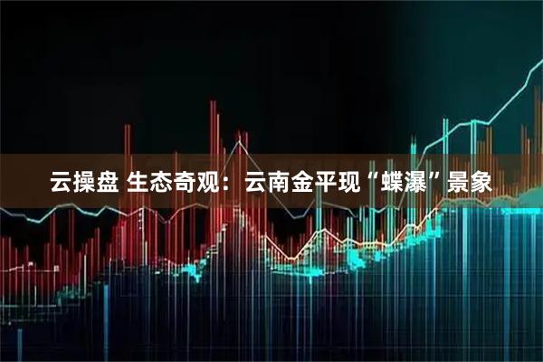 云操盘 生态奇观：云南金平现“蝶瀑”景象