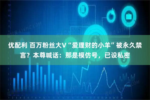 优配利 百万粉丝大V“爱理财的小羊”被永久禁言？本尊喊话：那是模仿号，已设私密