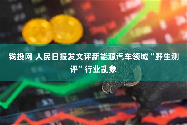 钱投网 人民日报发文评新能源汽车领域“野生测评”行业乱象