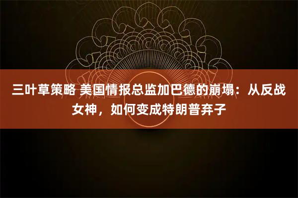 三叶草策略 美国情报总监加巴德的崩塌：从反战女神，如何变成特朗普弃子